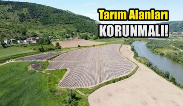 ''Tarm alanlar mutlaka korunmaldr''