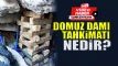 Madencilerden domuz dam kurtarmas