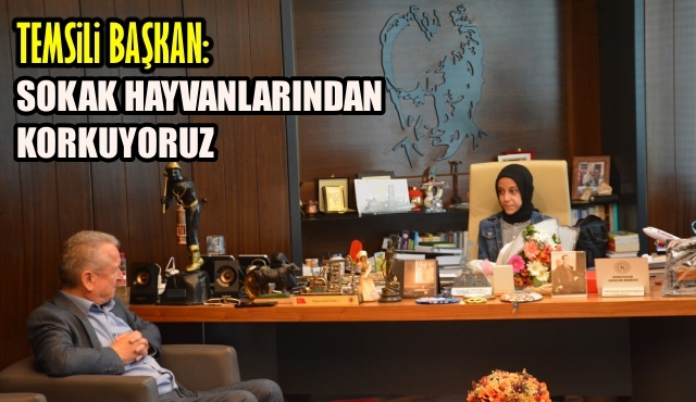Temsili başkan Dikkütük oldu