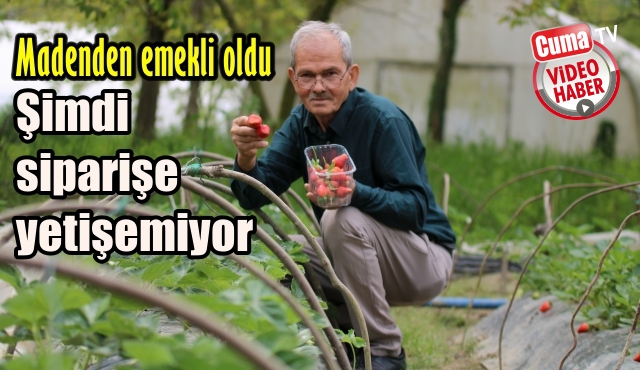 Çilek ve karpuz bahçeleriyle siparişe yetişemiyor