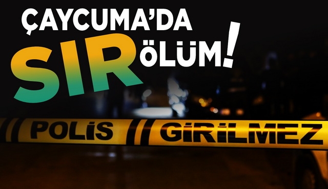 Genç kadın evinde ölü bulundu! - 0
