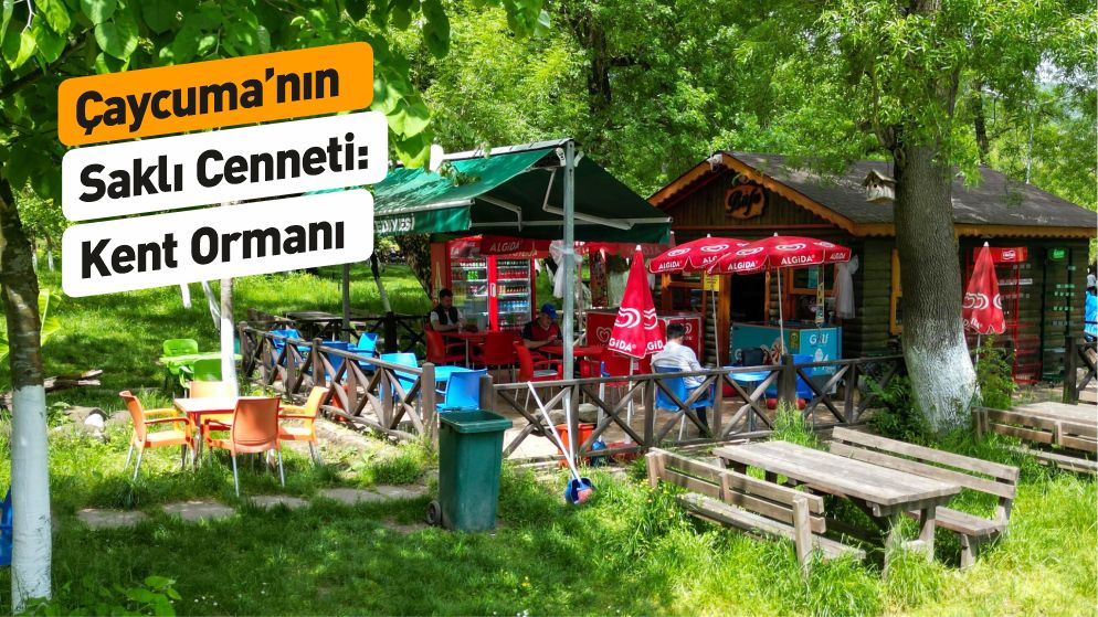 Çaycuma Kent Ormanı Vatandaşların Gözdesi Oldu