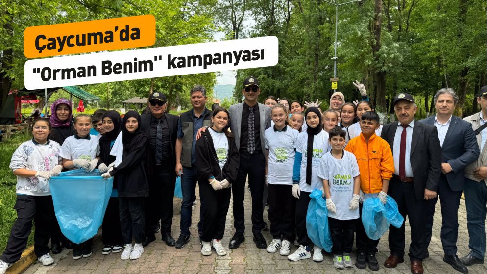 Kaymakam Kaya, Orman Temizliine Katld