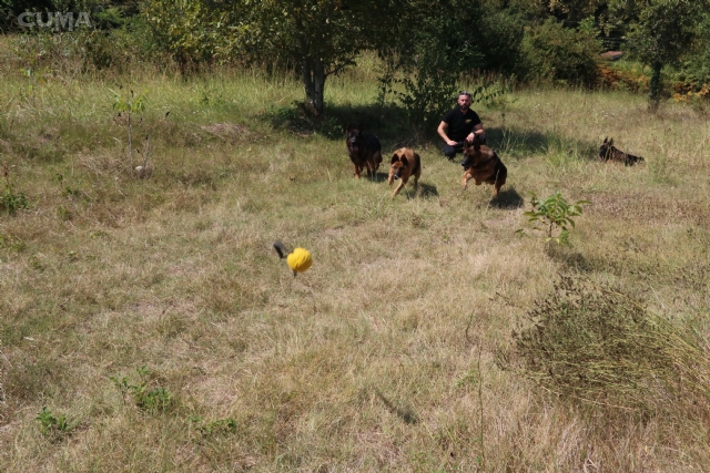 Köpeğiyle hedefi dünya şampiyonluğu