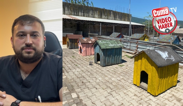 Sokak hayvanlarının yuvalarını tadilat yapıp boyadılar