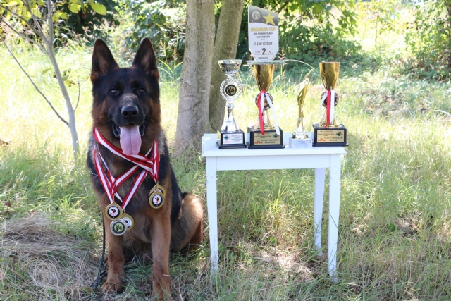 Köpeğiyle hedefi dünya şampiyonluğu