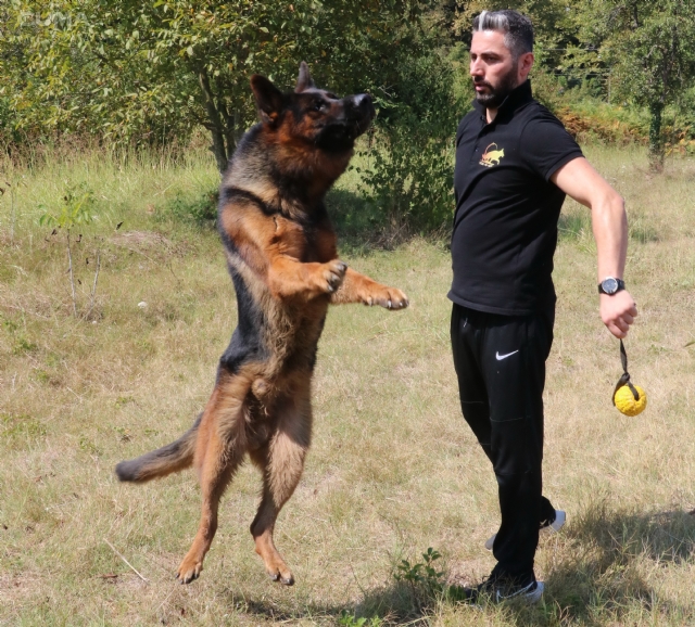 Köpeğiyle hedefi dünya şampiyonluğu