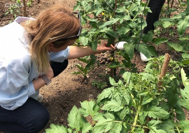 Kadın çiftçilere ''Seracı Belgesi'' verilecek