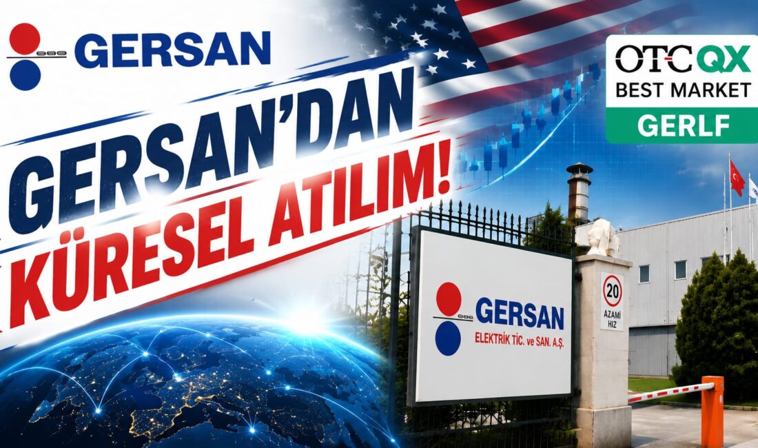 Türkiye’nin elektrik altyapısı ve enerji sektöründe faaliyet gösteren önemli şirketlerinden