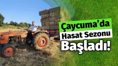 Hasatta Verim ve Zararlılarla Mücadele Vurgusu