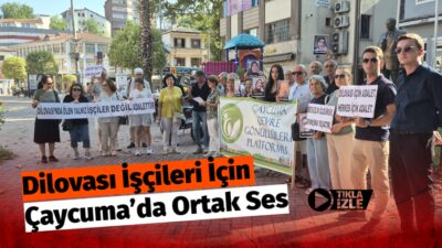 "İş Cinayetleri Kader Değildir"