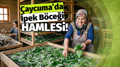 İpek Böceği Yetiştiriciliği Masaya Yatırıldı