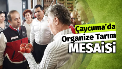 Çaycuma’da Organize Tarım Mesaisi