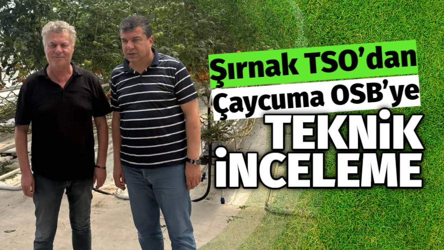 Şırnak TSO’dan Çaycuma Sera OSB’ye İnceleme Ziyareti Şırnak Ticaret ve