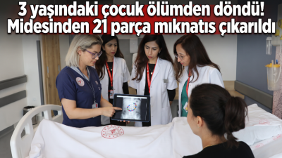 Renkli Mıknatıslar Kabusu Oldu