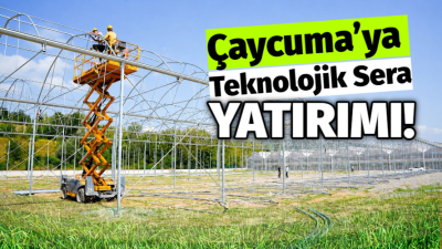 ÇAYBEL’den Dev Süs Bitkisi Projesi