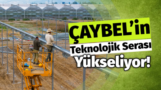 Çaycuma Belediyesinden Ekonomiye Katkı Sağlayacak Sera Yatırımı