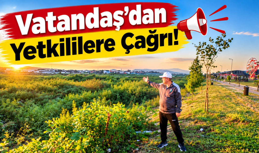 Filyos Nehri kıyısında bir vatandaş, nehir yatağının adeta ormana dönüştüğünü