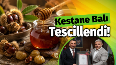 Kestane Balı Tescil Edildi