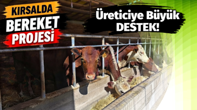 Hayvancılıkta Çaycuma’ya Bereket