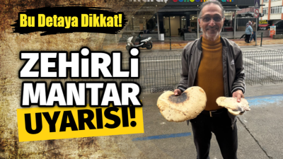 Kültür Mantarı Tercih Edin