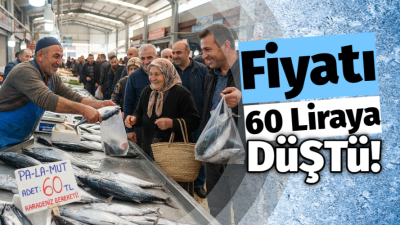Fiyatı 60 liraya düştü