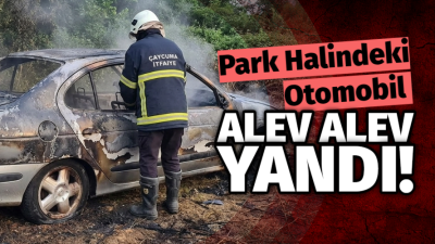 İtfaiyenin Müdahalesiyle Söndürüldü
