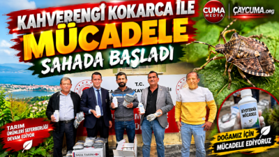 Üreticinin Emeği İçin Sahadalar: 79 Köyde İlaçlama Seferberliği