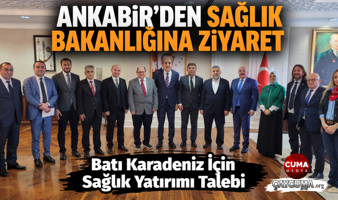Batı Karadeniz İçin Sağlık Yatırımı Talebi