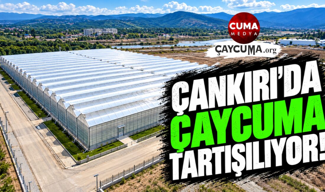 Çaycuma Sera OSB İlham Kaynağı Oldu!