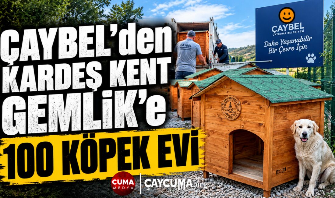 Çaycuma Belediyesi Şirketi ÇAYBEL, Gemlik'e Modüler Köpek Evi Gönderdi