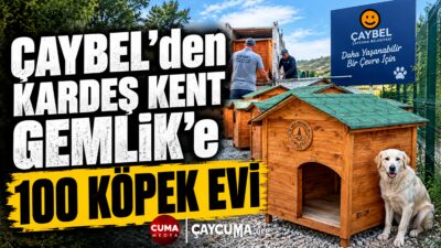 Çaycuma Belediyesi Şirketi ÇAYBEL, Gemlik'e Modüler Köpek Evi Gönderdi