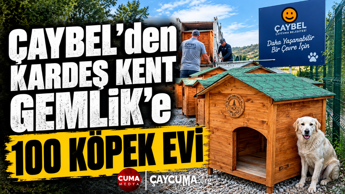 ÇAYBEL’den Gemlik’e 100 köpek evi