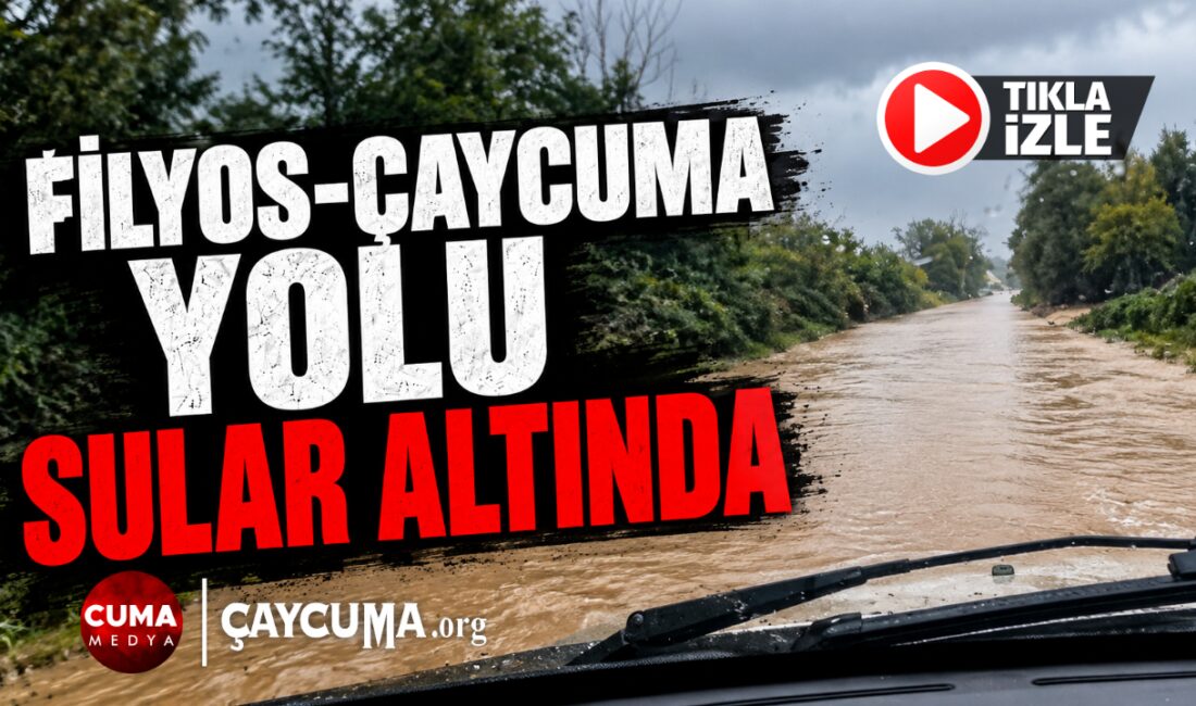 Sürücüler ve Yayalar Zor Anlar Yaşıyor