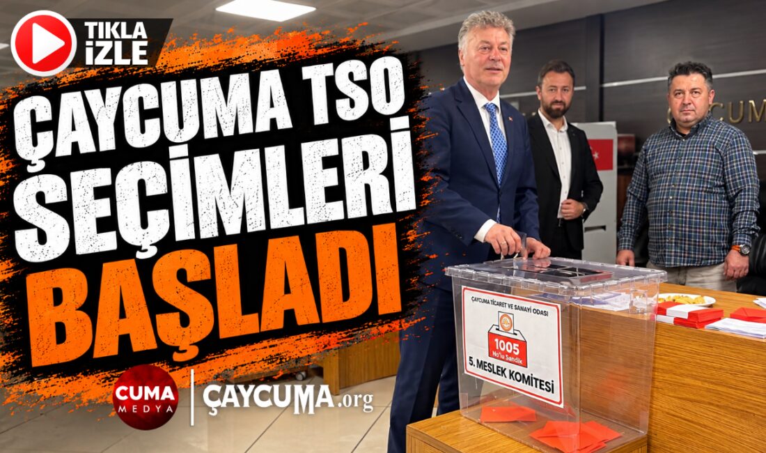 İş Dünyası Sandık Başında