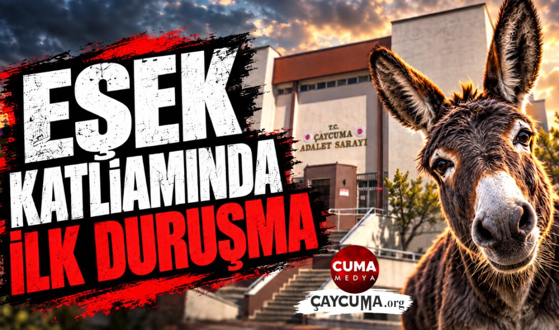 Yaralı Eşeğin Yaşam Hakkı Elinden Alındı