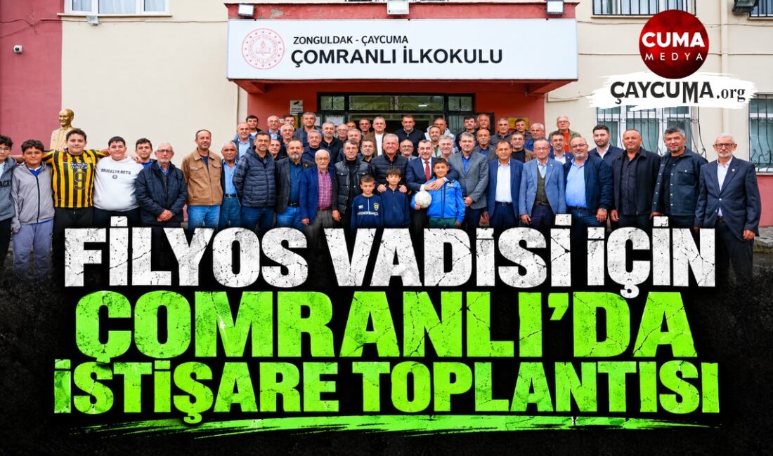 Filyos Projesi Sorunları İçin Ortak Akıl Buluşması