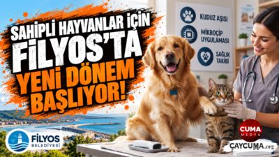 Kuduz Aşısı ve Mikroçip Talebi Başladı