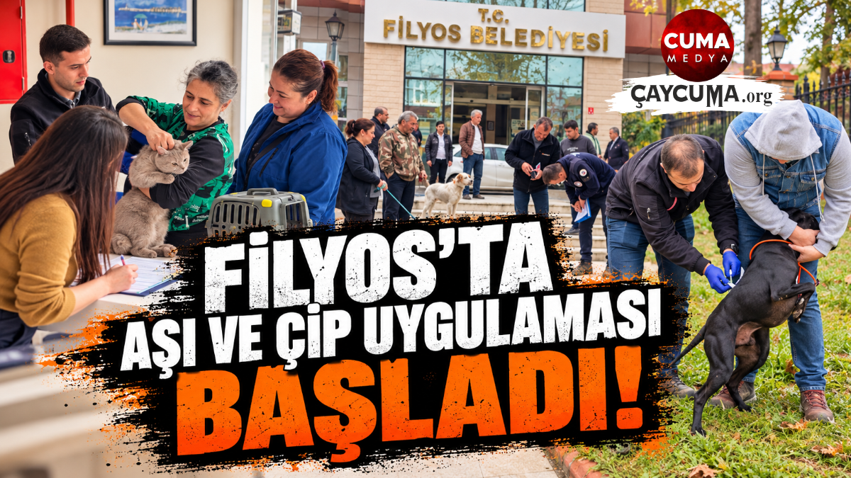 Filyos’ta Kedi ve Köpekler İçin Aşılama ve Mikroçip Uygulaması Başladı