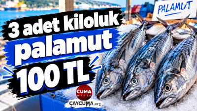 3 Palamut 100 TL'den Satışa Sunuldu
