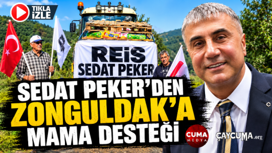 Zonguldaklı Patili Dostlara 450 Ton Mama